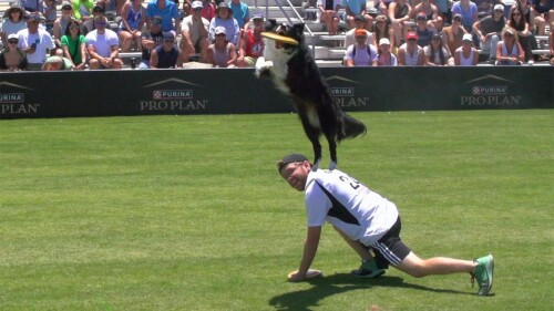 体育商业联盟管理